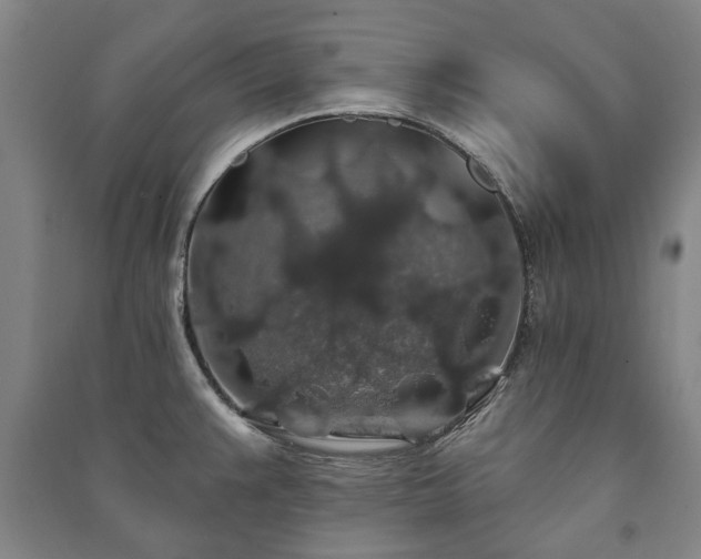 X0000091211383200708161533