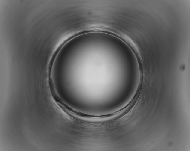 X0000091211384200708161533