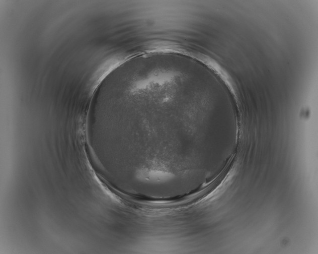 X0000091211385200708161533