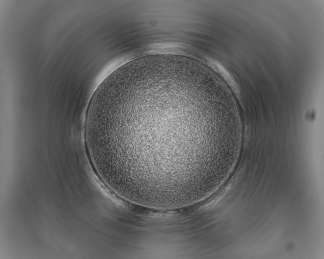 X0000091211386200708161533