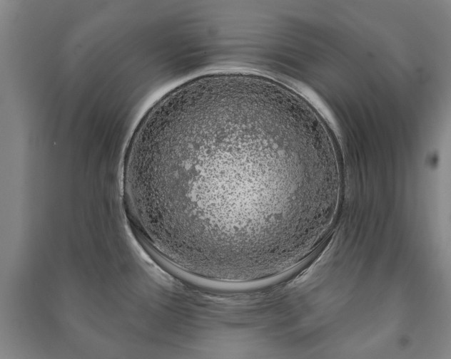 X0000091211388200708161533