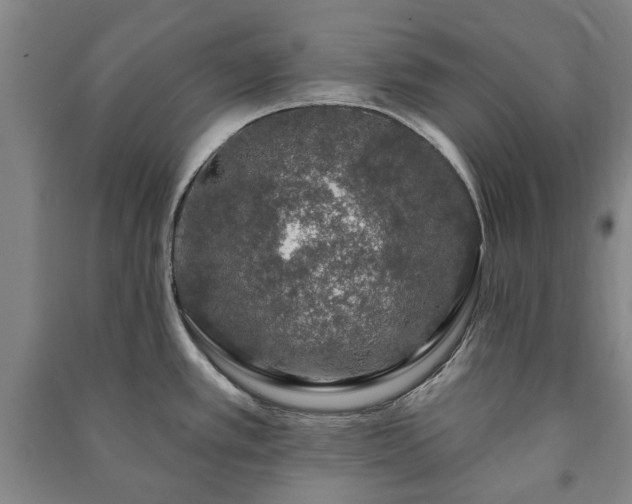 X0000091211389200708161533