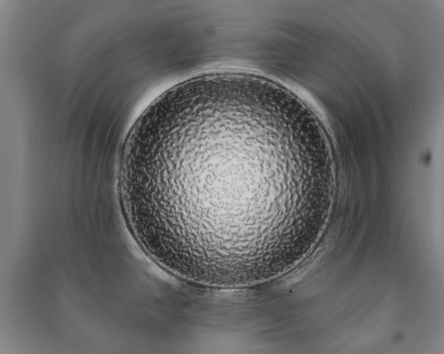 X0000091211390200708161533