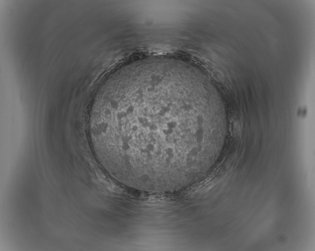 X0000091211393200708161533