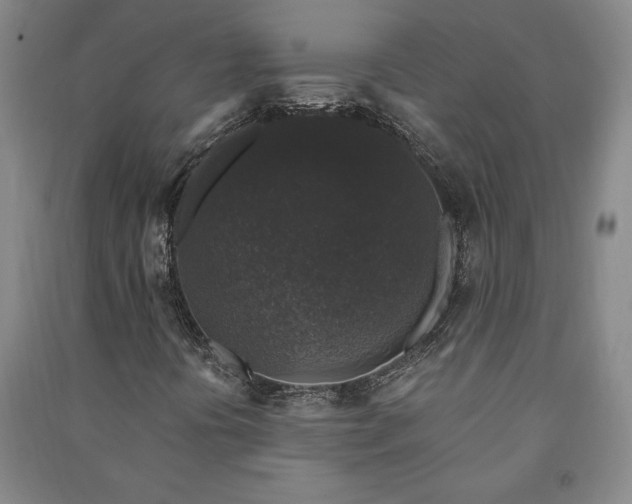 X0000091211394200708161533