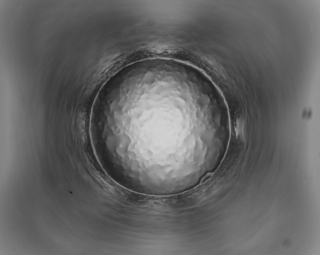 X0000091211396200708161533
