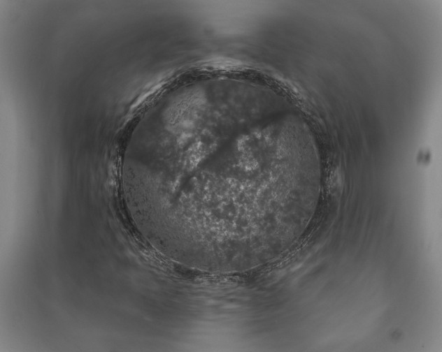 X0000091211397200708161533