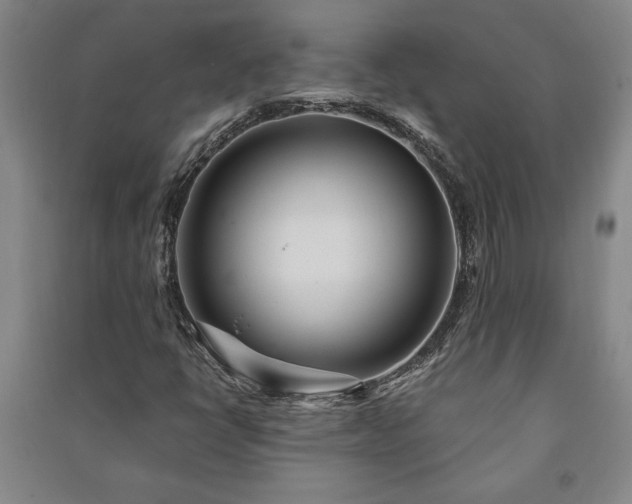 X0000091211398200708161533