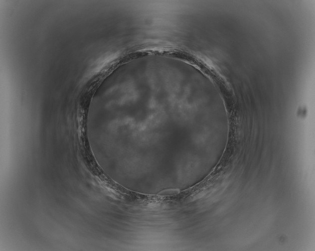 X0000091211399200708161533