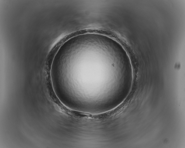 X0000091211400200708161533