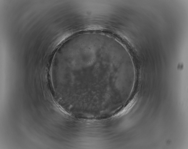 X0000091211401200708161533