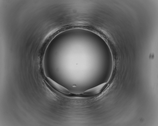 X0000091211402200708161533