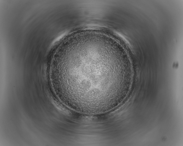 X0000091211403200708161533