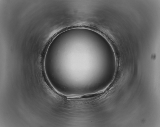 X0000091211404200708161533
