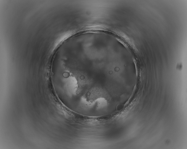 X0000091211405200708161533