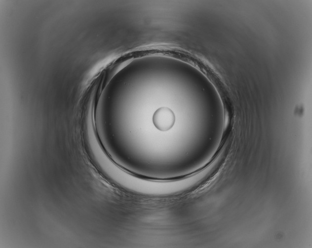 X0000091211406200708161533