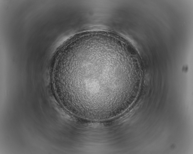 X0000091211407200708161533