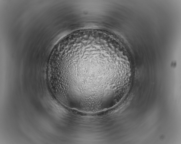 X0000091211409200708161533