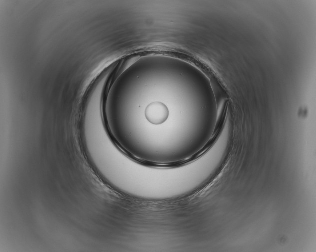 X0000091211410200708161533