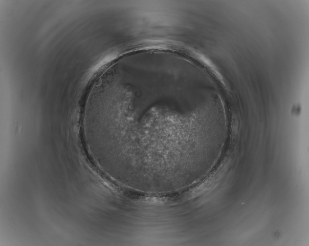 X0000091211411200708161533