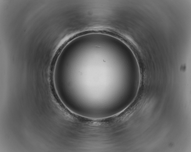X0000091211412200708161533
