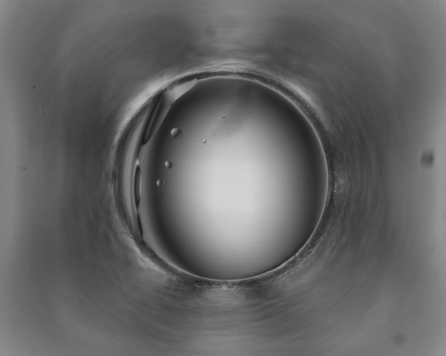 X0000091211414200708161533