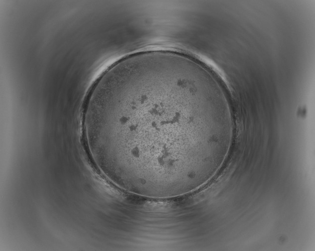 X0000091211415200708161533