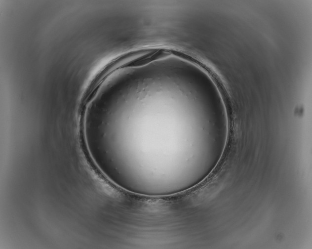 X0000091211416200708161533