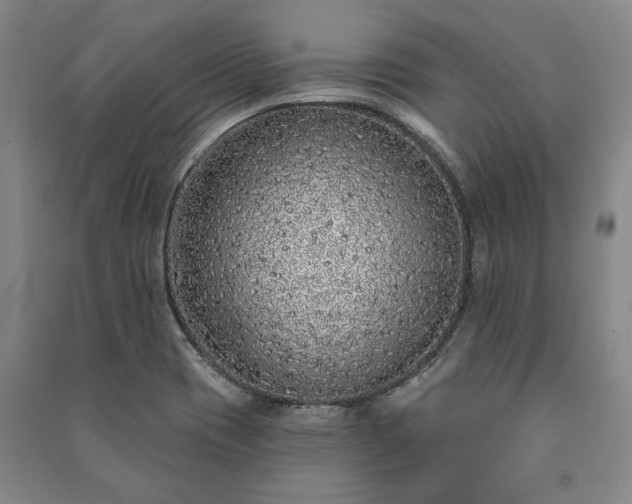 X0000091211417200708161533