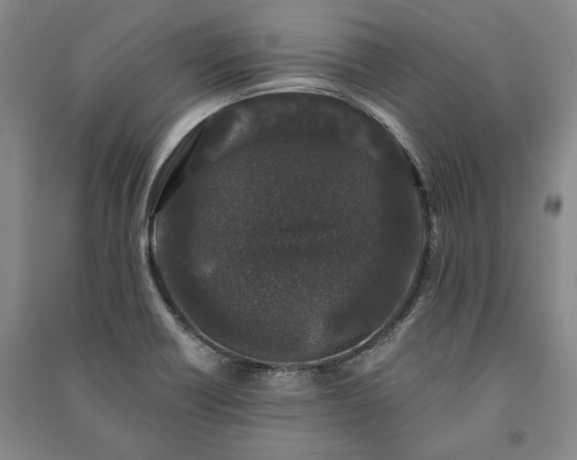 X0000091211418200708161533
