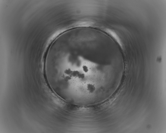 X0000091211419200708161533