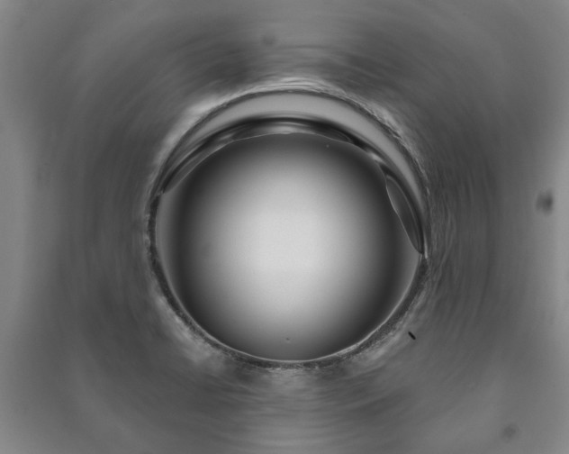 X0000091211422200708161533