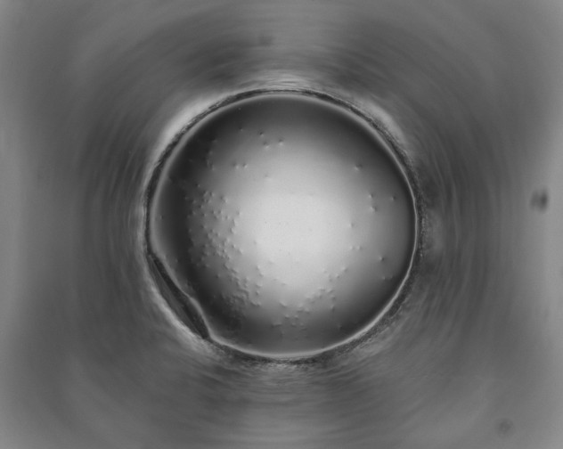X0000091211424200708161533