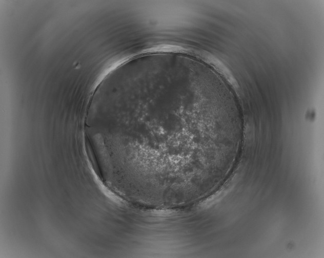 X0000091211425200708161533