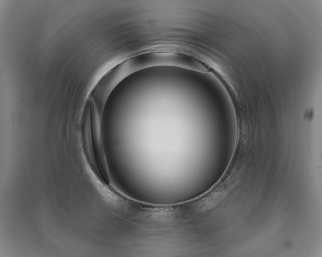 X0000091211426200708161533