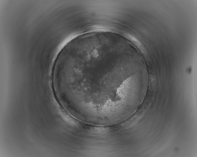 X0000091211427200708161533