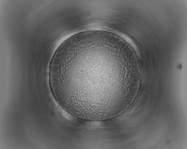 X0000091211431200708161533
