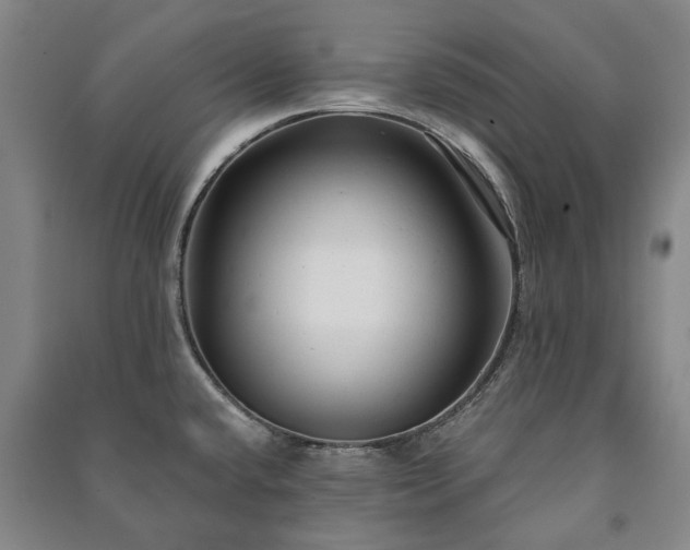 X0000091211432200708161533