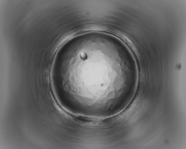 X0000091211433200708161533
