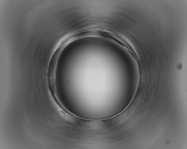 X0000091211434200708161533