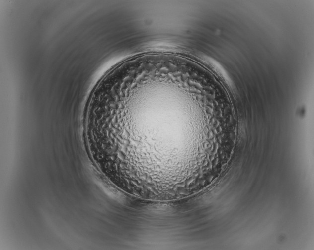 X0000091211435200708161533