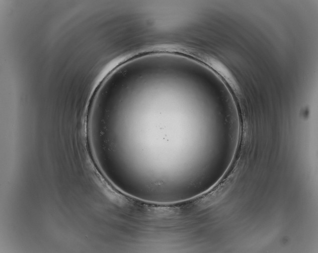 X0000091211436200708161533