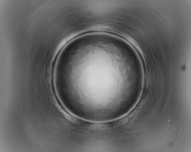 X0000091211437200708161533