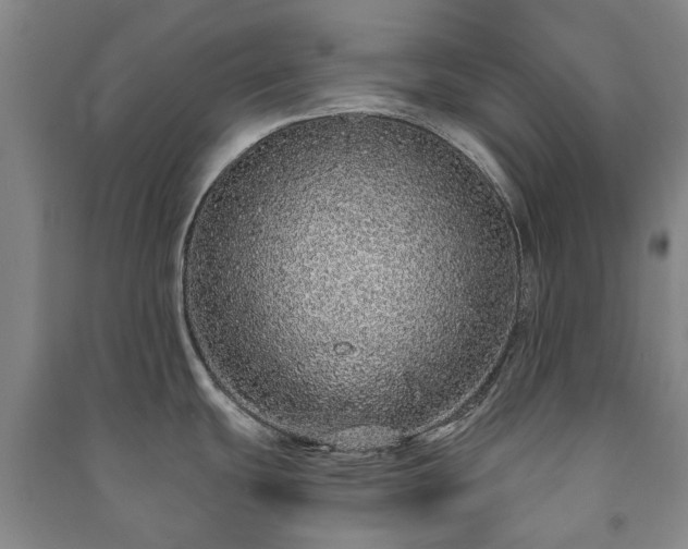 X0000091211439200708161533