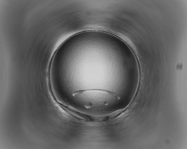 X0000091211440200708161533