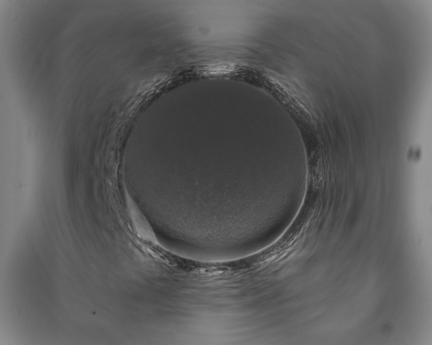 X0000091211441200708161533
