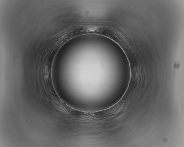 X0000091211442200708161533