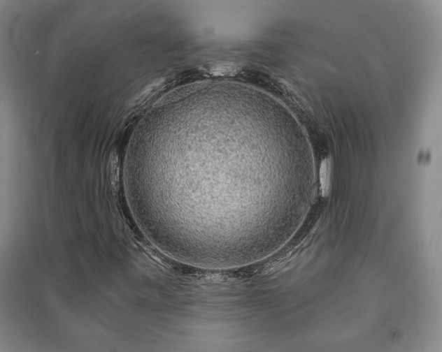 X0000091211443200708161533