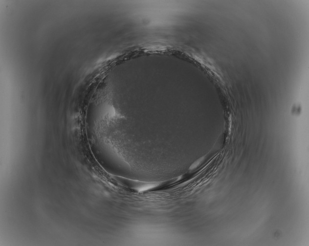 X0000091211445200708161533