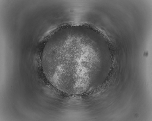 X0000091211446200708161533